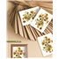 Notecards in box NCD104252